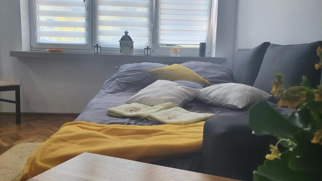 Apartament Park Saski Сандомир Екстериор снимка