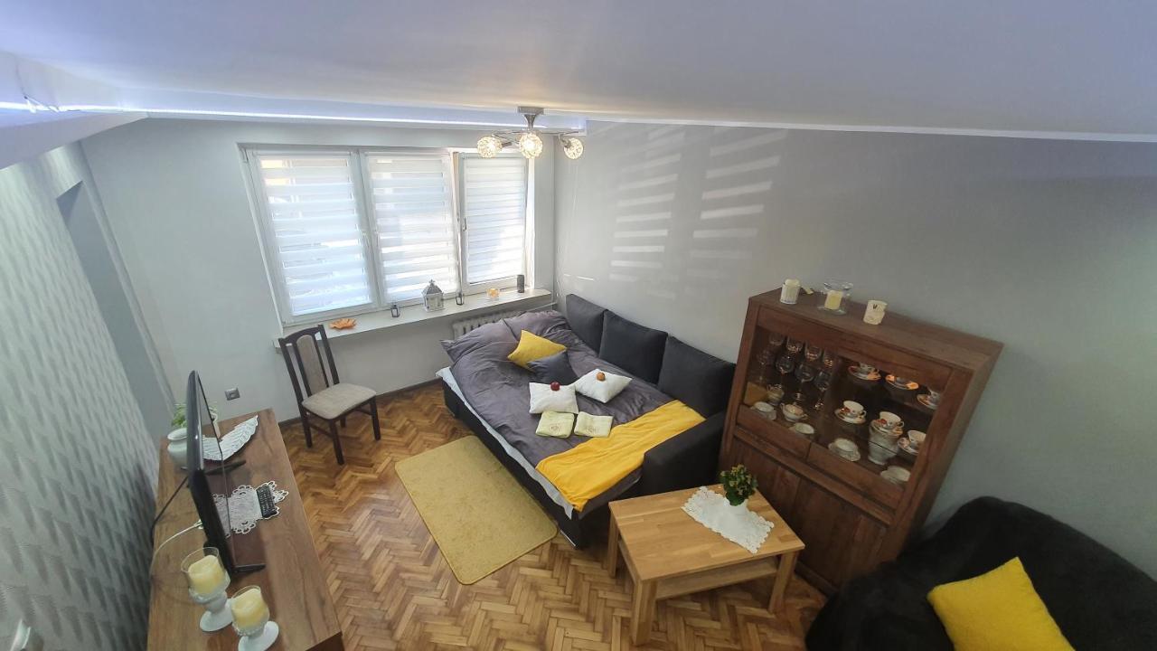 Apartament Park Saski Сандомир Екстериор снимка